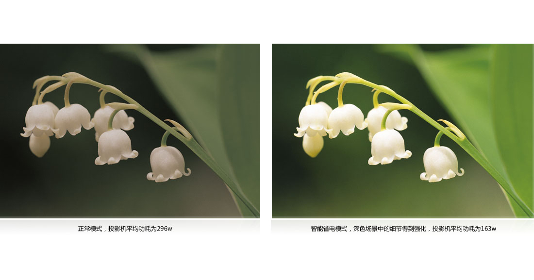 SmartEco智慧节能模式